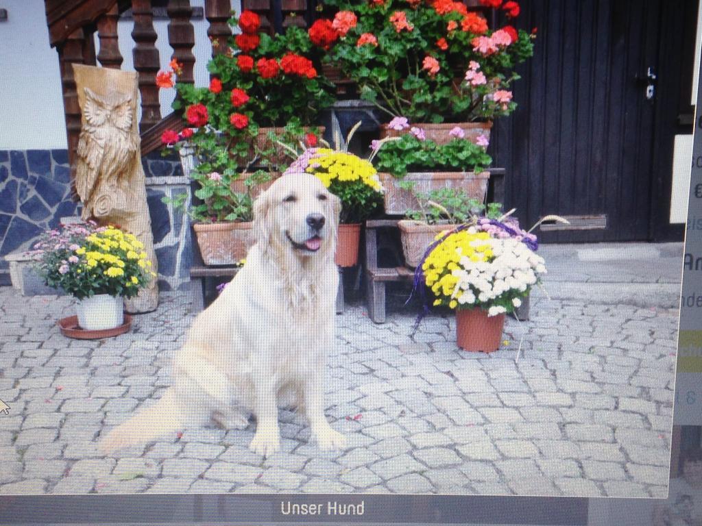 Ferienwohnung Dietlinde Bad Blankenburg Oda fotoğraf