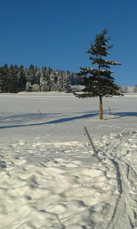 Ferienwohnung Dietlinde Bad Blankenburg Dış mekan fotoğraf