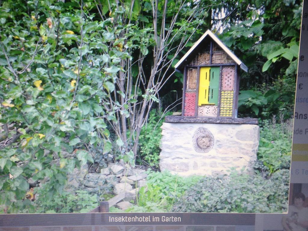 Ferienwohnung Dietlinde Bad Blankenburg Oda fotoğraf