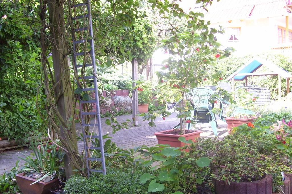 Ferienwohnung Dietlinde Bad Blankenburg Oda fotoğraf