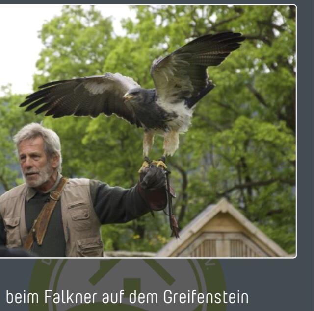 Ferienwohnung Dietlinde Bad Blankenburg Dış mekan fotoğraf